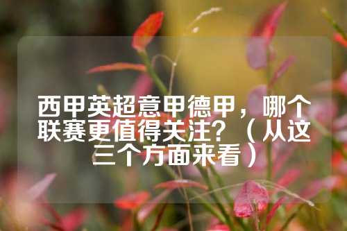 这12名球